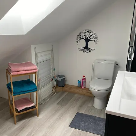 Apartman Chez Aurore Et Jerome Centre Garage Wifi *