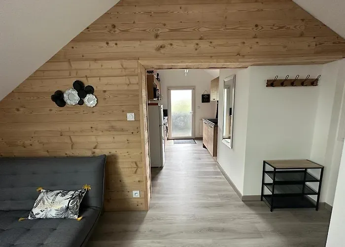 Chez Aurore Et Jerome Centre Garage Wifi La Bresse