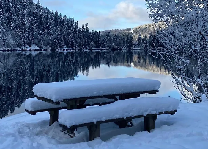 Chez Aurore Et Jerome Centre Garage Wifi *