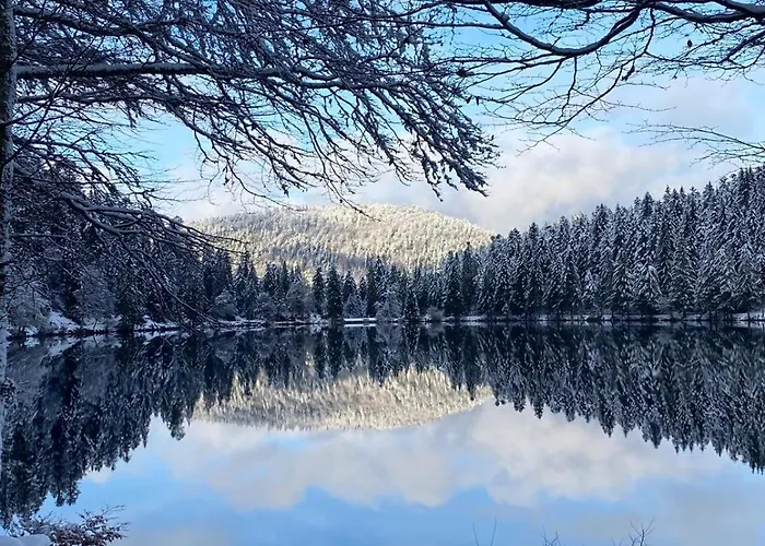 Apartmán Chez Aurore Et Jerome Centre Garage Wifi *