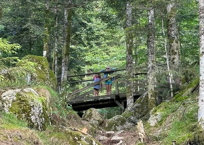 Chez Aurore Et Jerome Centre Garage Wifi La Bresse